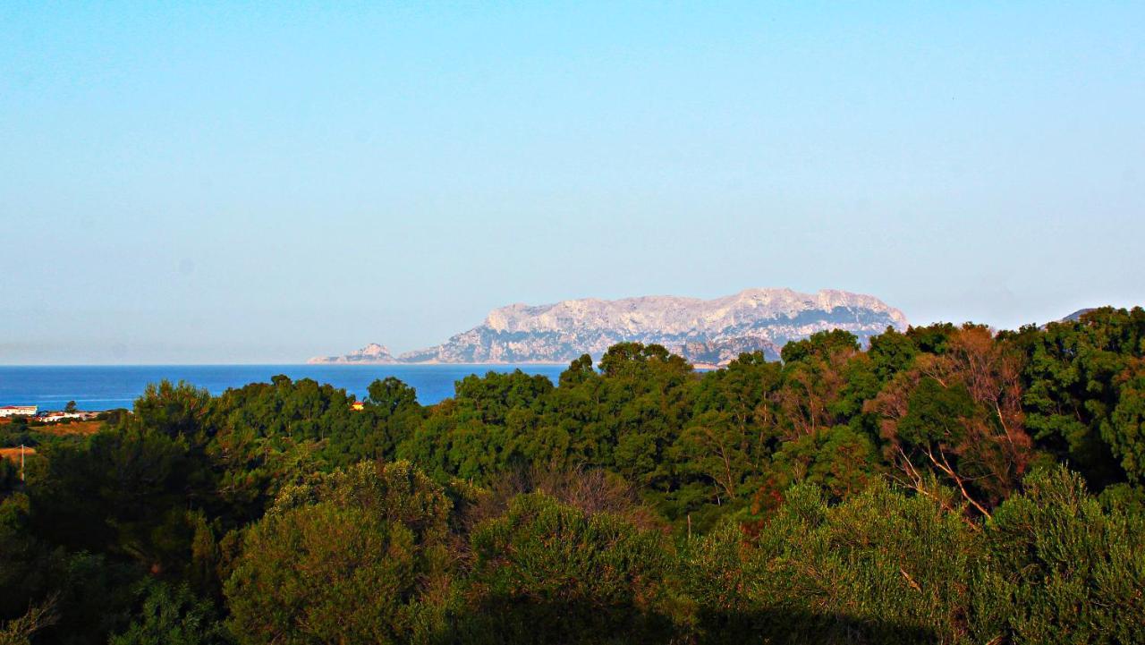 Sole Matto Rooms Olbia Eksteriør bilde