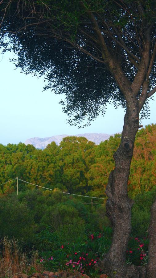 Sole Matto Rooms Olbia Eksteriør bilde