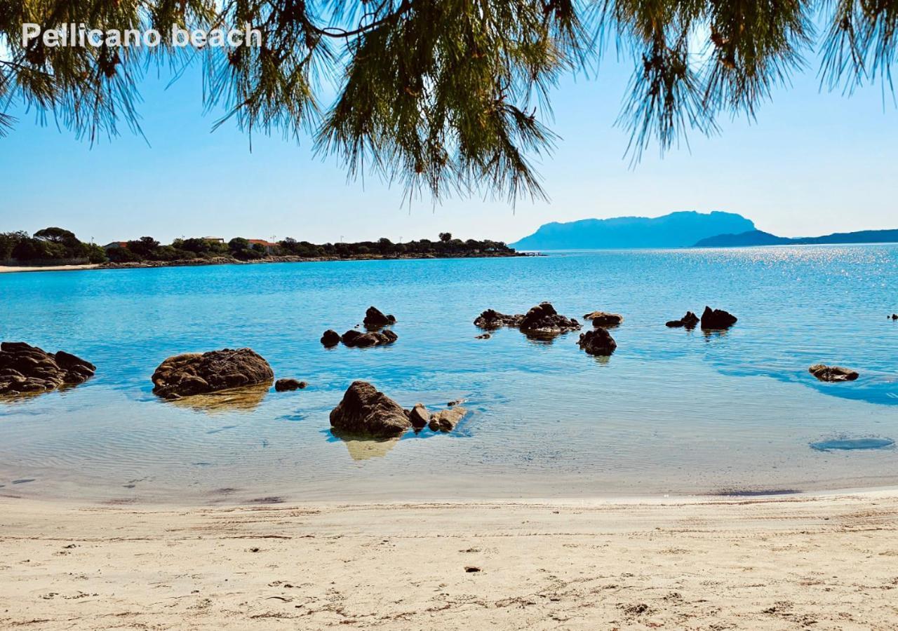 Sole Matto Rooms Olbia Eksteriør bilde